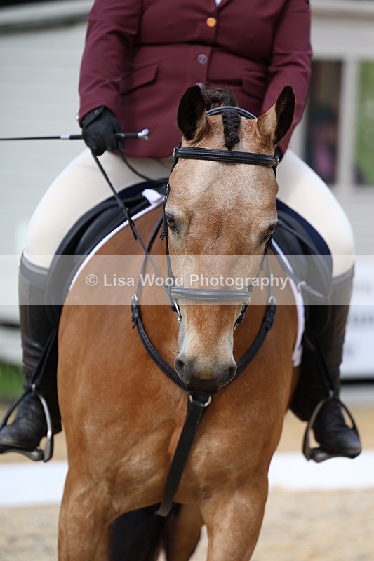 3E7A1507 - Class 2: Intro 2 2024 Section B