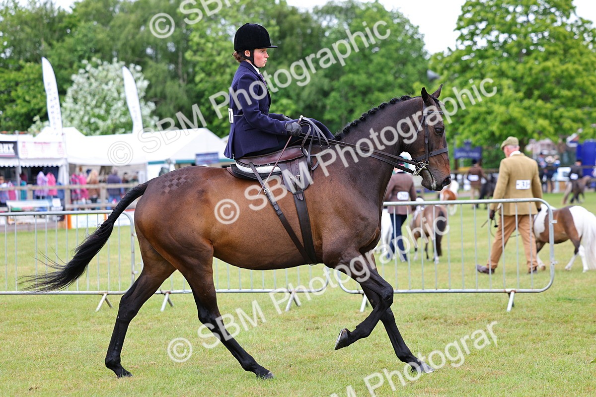 SBM_02724 - Class 9-11 Side Saddle including LIHS Rising Star Ladies Show Horse