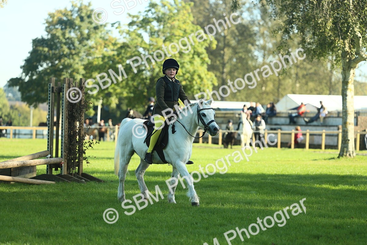 SBM_36295 - S29 - Novice & Newcomers Working Hunter Pony