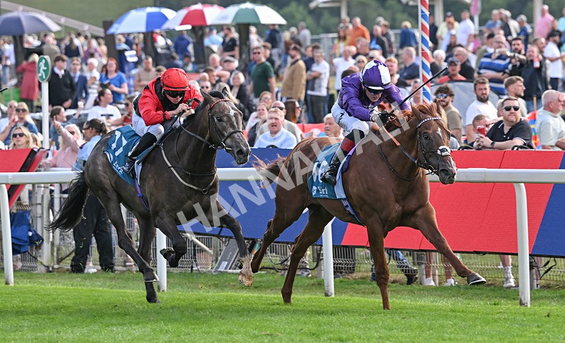 190826-254 Henley On Thames - Race 7 17.20pm Sky Bet Nursery Handicap