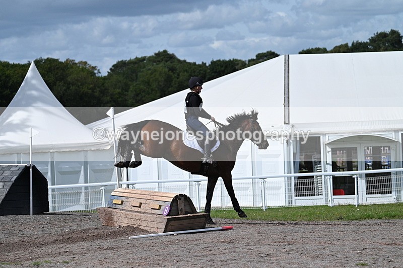 WJ7_1961 - Time 13:17 to 13:53