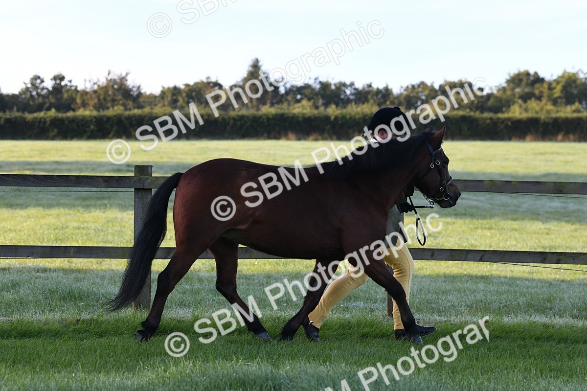 SBM_32602 - S15 - Condition & Turnout In Hand