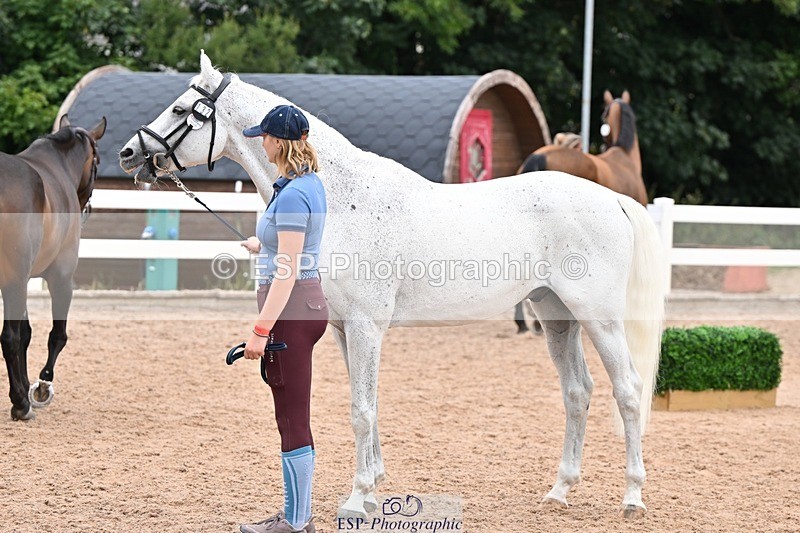 250716-140517-00904 - Trot Up 1.30 to 2.30