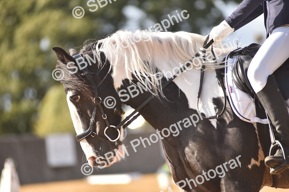 SBM_48955 - D24 - Junior Championship Prelim 3