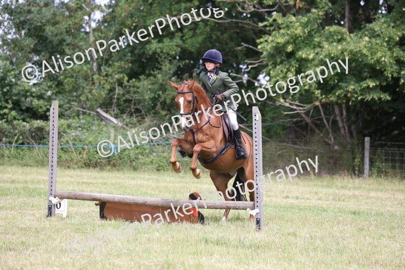 20260614-1852 - Class 21 - Novice Working Hunter Pony