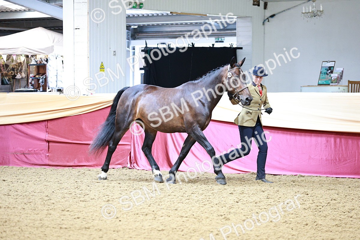 SBM_00911 - Class 2A - Area IH Veteran