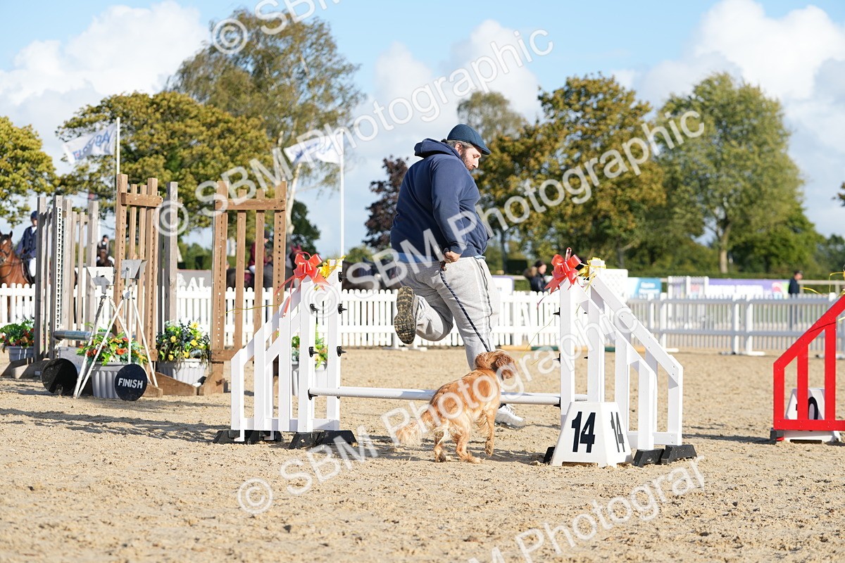 SBM_28990 - J43 - Horse & Hound Open 50cm