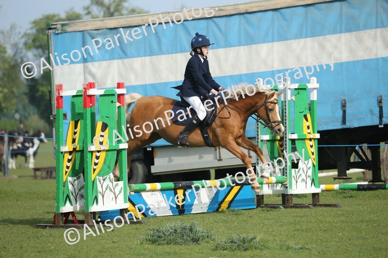 20260426-0154 - Class 13 - Rookie Jumping 50cm