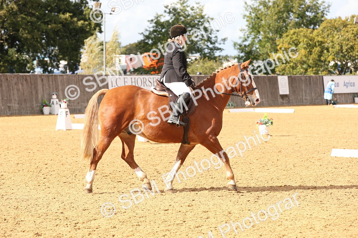 SBM_47540 - D12 - Small Tour Championship prelim 2