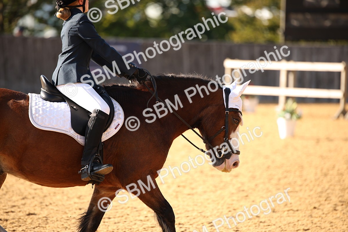 SBM_28348 - D11 - Small Tour Championship - Prelim 13