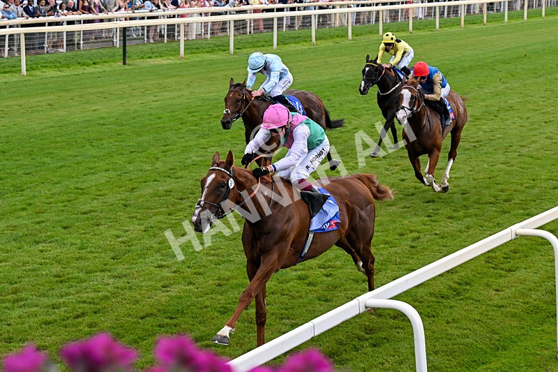250726-Race 3-Item-0828 - Race 3 14.35pm Sky Bet York Stakes