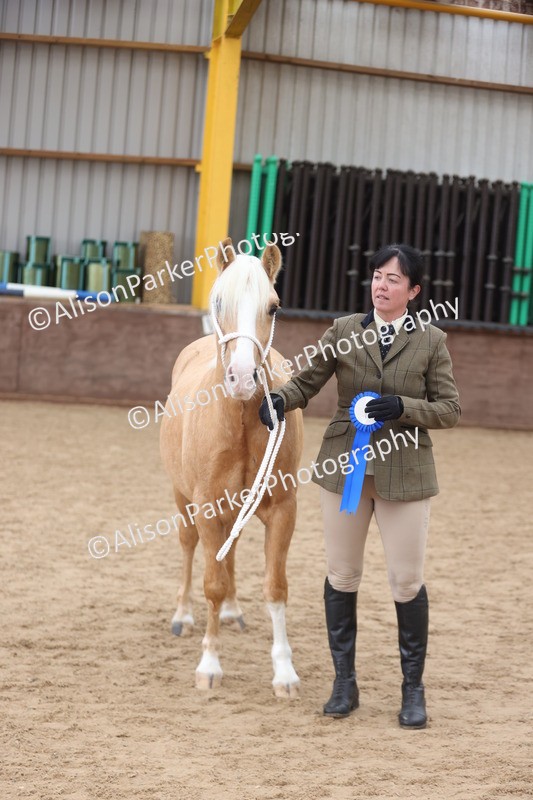 20251109-0863 - Class 25 - Yearling, Colt, Filly or Gelding