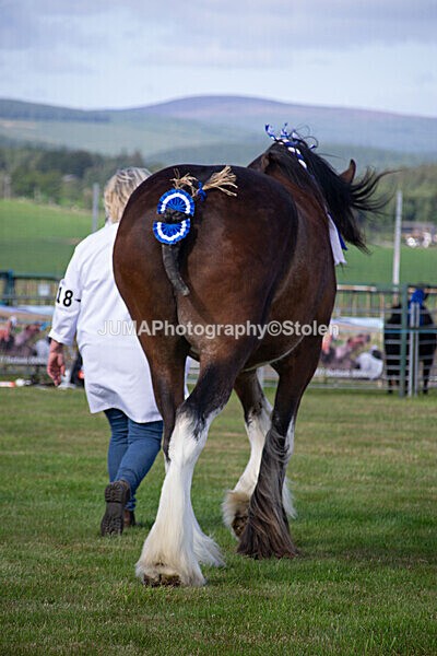 DSC_0159 - Ring 1