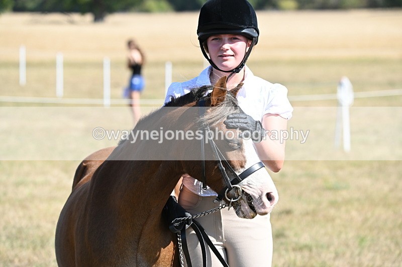 WJ6_7639 - Class 34 Judges Choice