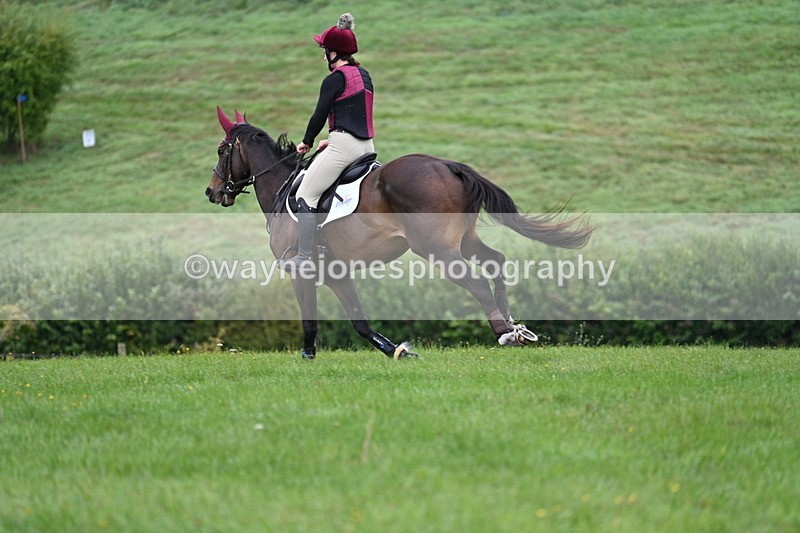 WJ7_7604 - Time 10:05 to 10:30  (3 cameras)