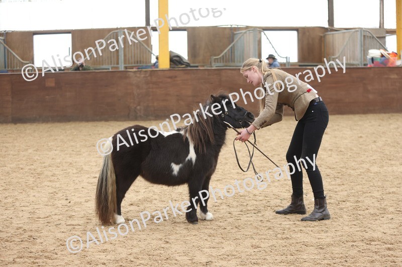 20251109-0189 - Class 10 - Yearling, Colt, Filly or Gelding