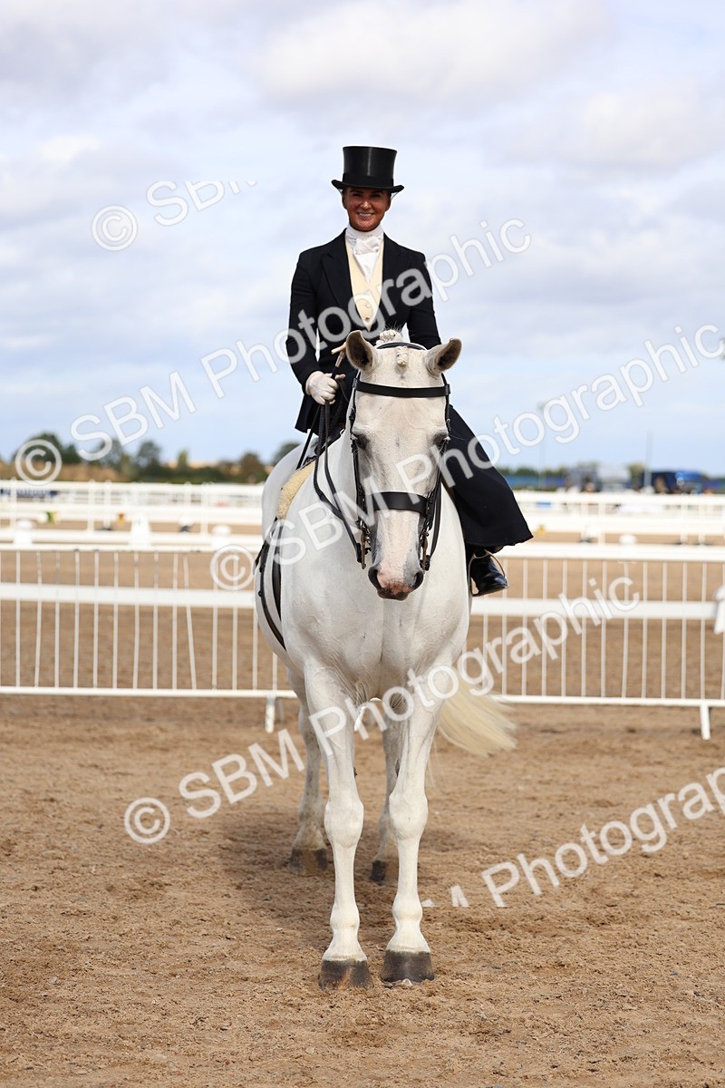 SBM_03251 - Class 22 - SSA Equitation (any age)
