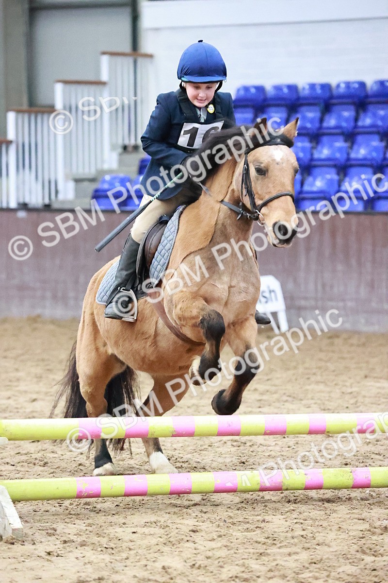 SBM_000534 - Class 2 - Show Jumping 50cm