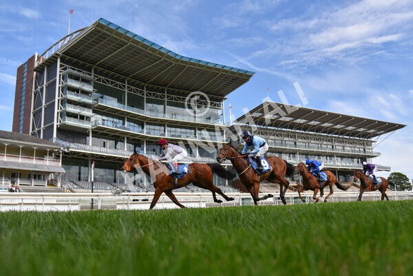 yr13052021r6-51 - Race 6 4.15pm Constant Security EBFstallions.com Maiden Stakes