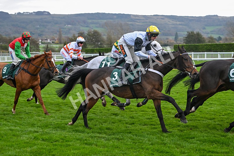 161124-Race 5-Captain Morgs-0939 - Race 5