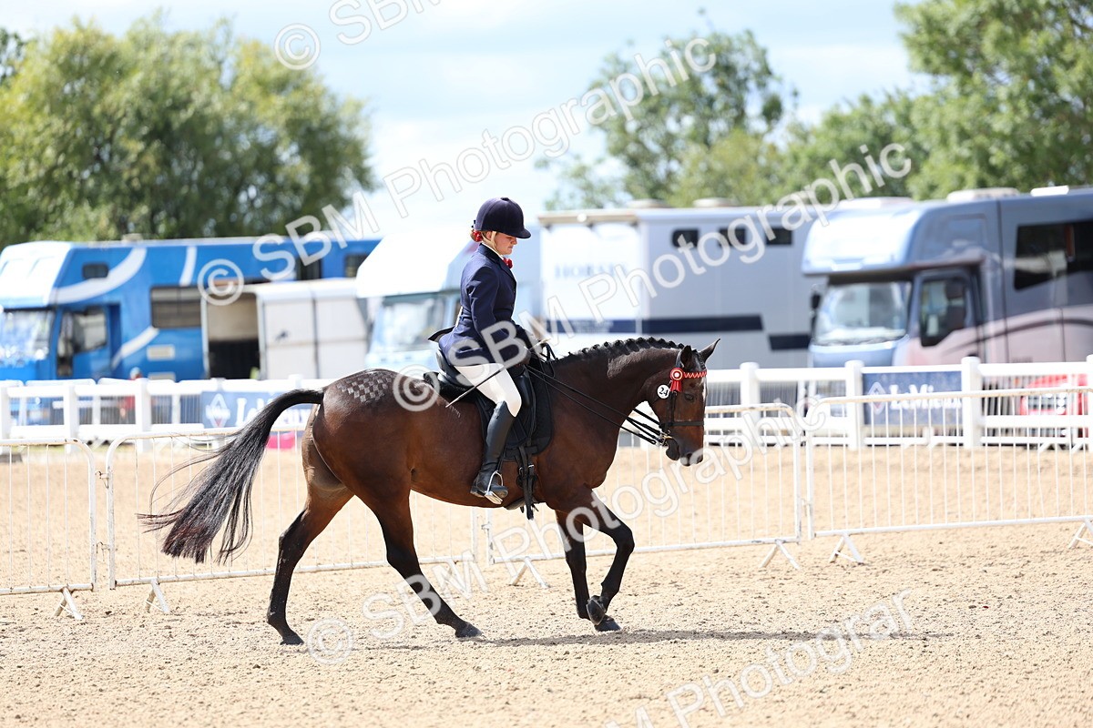 SBM_13297 - Class 311 - Ridden Show Pony Show Hunter Pony