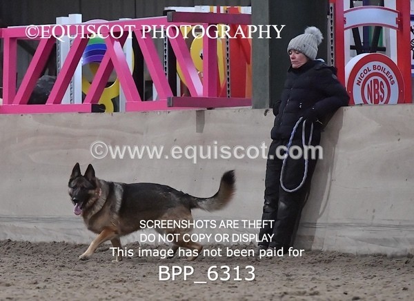 BPP_6313 - CARLA DOGS
