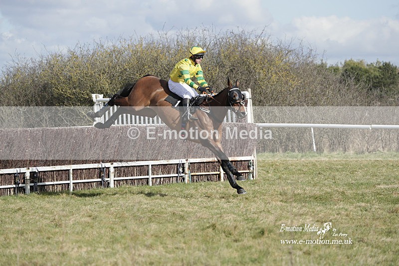 PtP 260223 273 - South & West Wilts Point-to-Point Larkhill 26/02/23