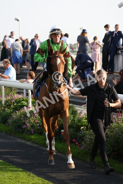 yr05092021r7-12 - Race 7 5.10pm Yorkshire Regiment Stakes