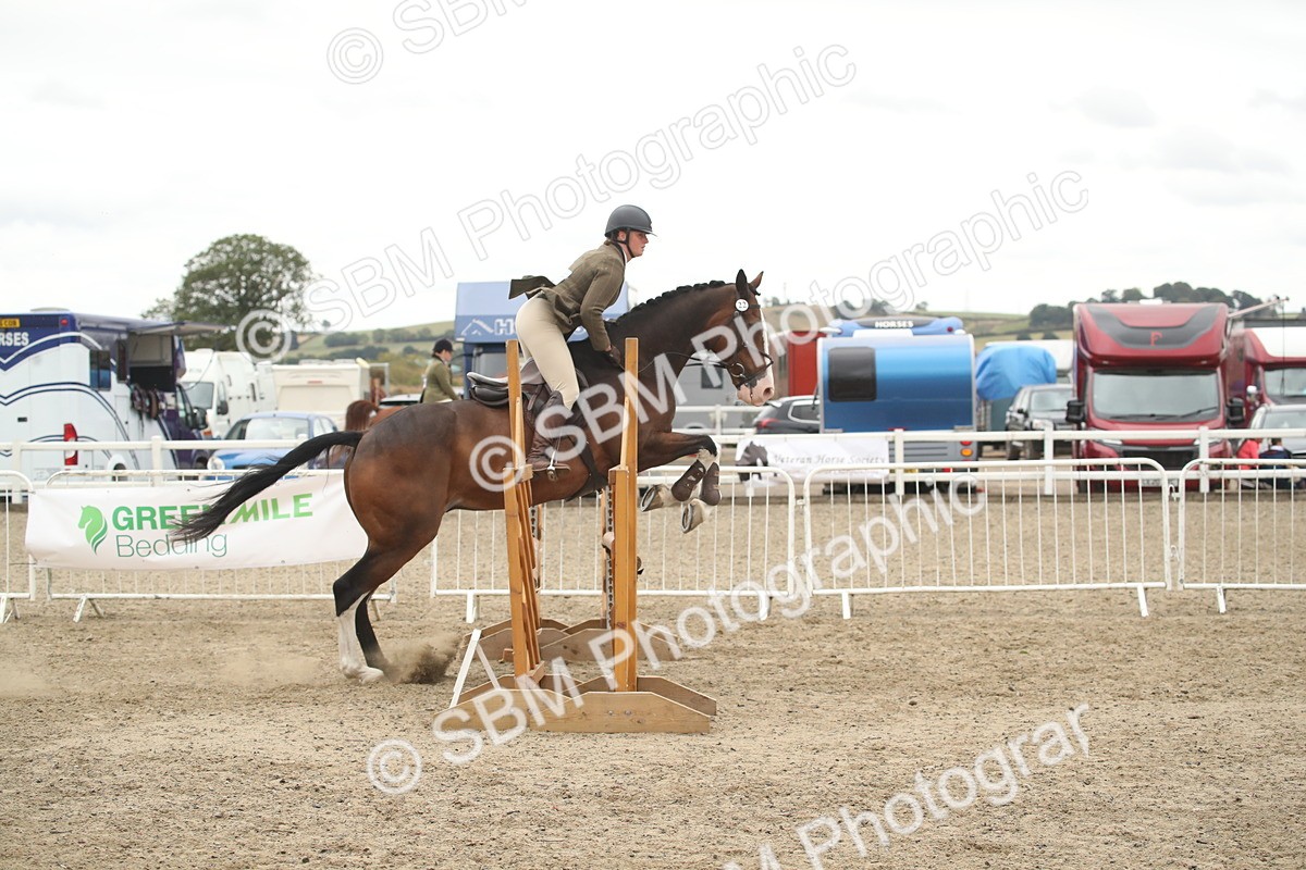 SBM_18385 - Class 509B - Working Veteran - 80cm (20+)