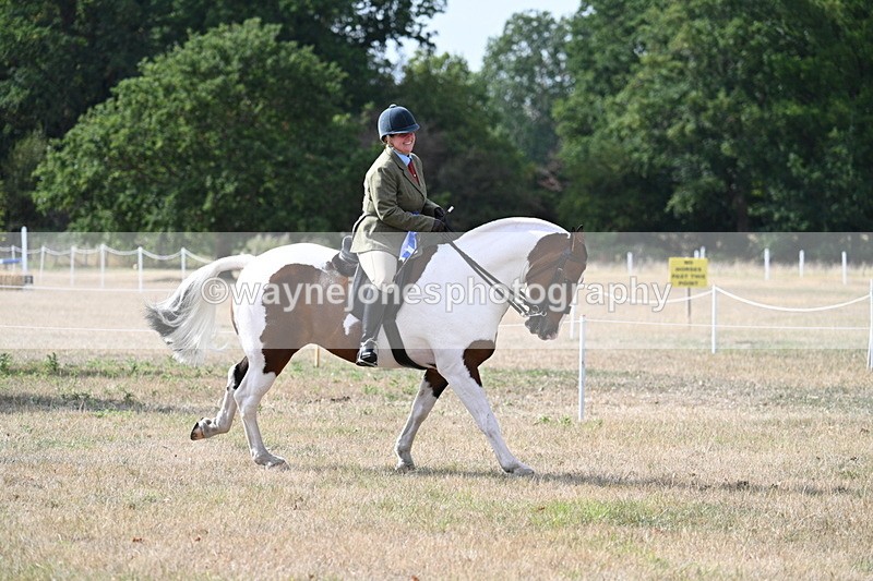 WJ7_7498 - Class 14 Ridden Coloured