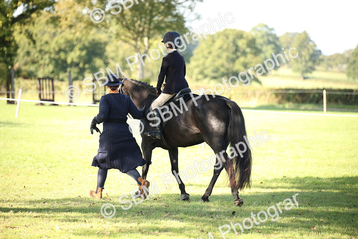 SBM_35722 - S9 - Lead Rein Equitation