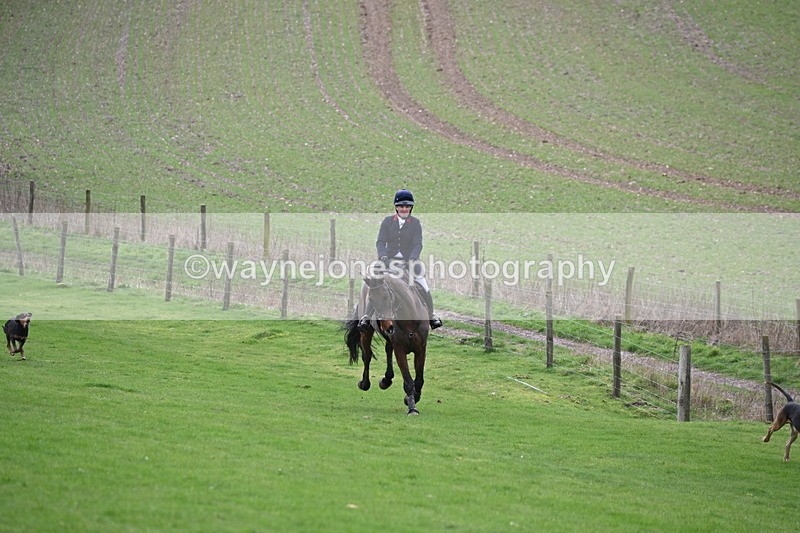 WJ6_8986 - Line Three