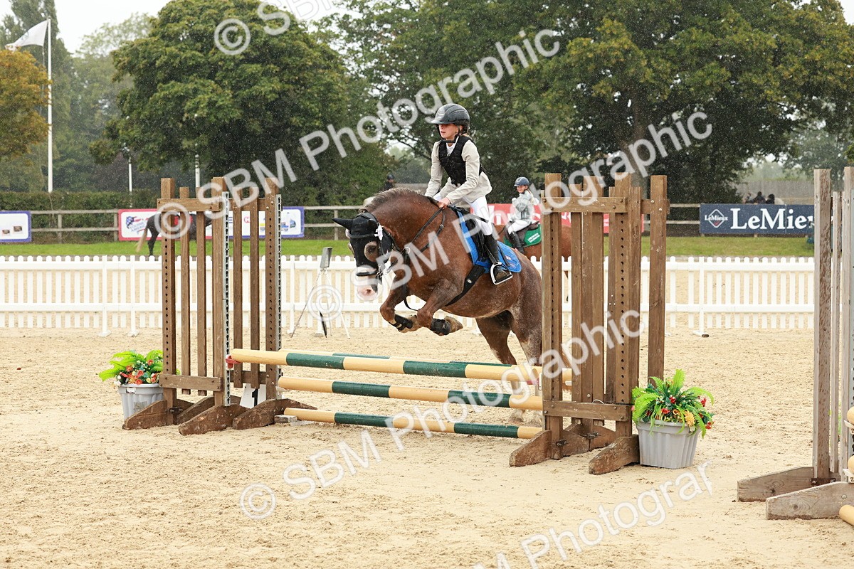 SBM_69346 - J13 - Junior Pony 60cm Championship