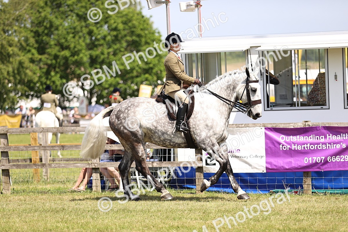 SBM_16095 - Class 79-80 - LIHS BSHA Rising Star Ridden Hunter