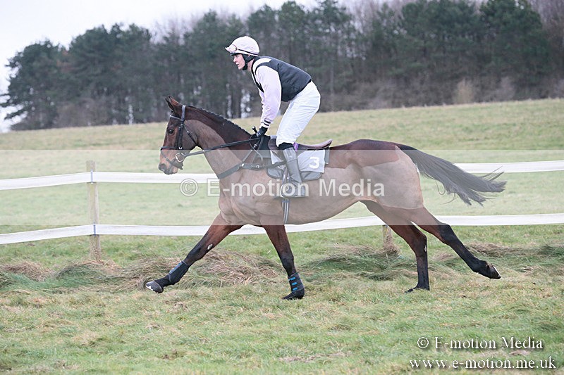 PtP 230119 302 - Royal Artillery Point-to-Point  - Larkhill  - 26/01/19