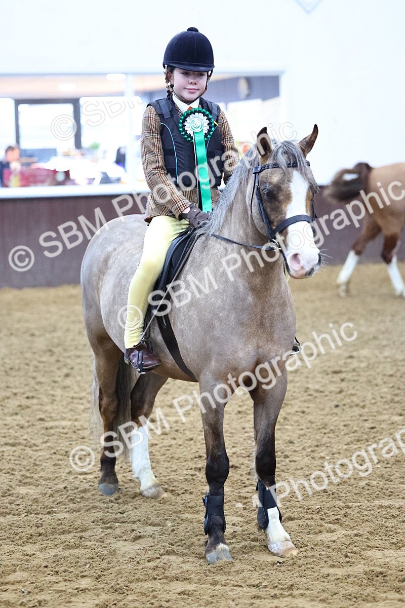 SBM_003209 - Class 35 - 60cm Training Stakes