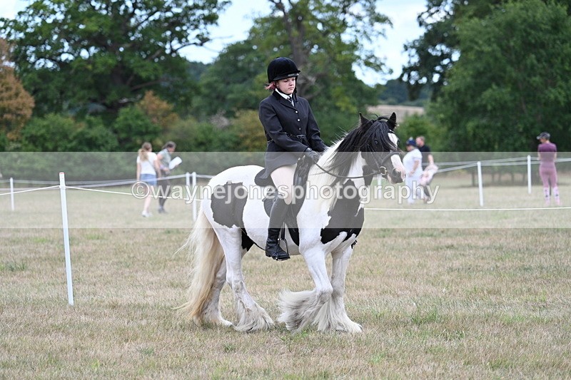 WJ7_4303 - Class 11 Family Mount