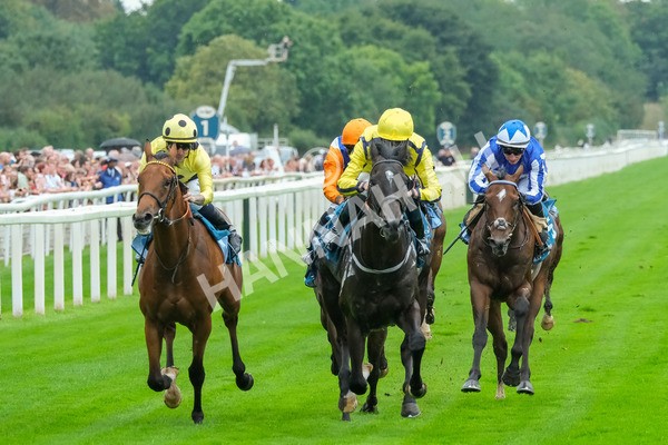 080925-Race 1-Proud Nation-7529 - Race 1 2.30pm Enter ITV7 For Free Confined EBF Maiden Stakes