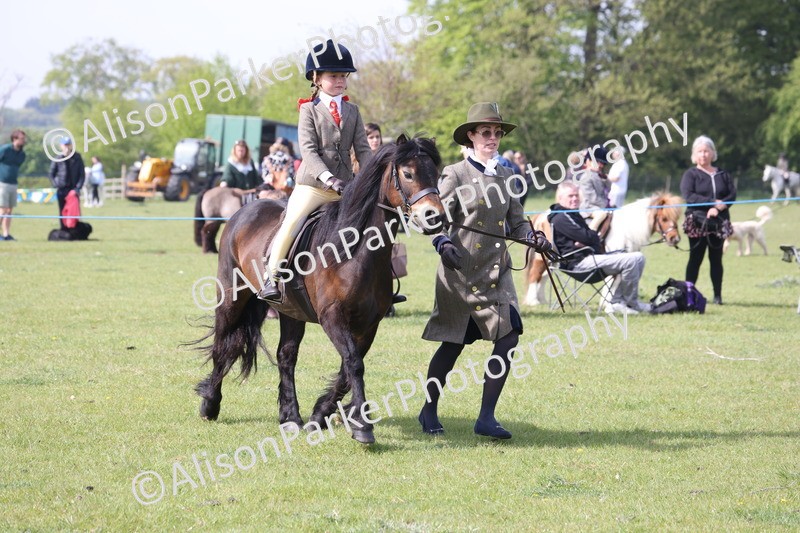 20260426-2470 - Class 31 - Leading Rein