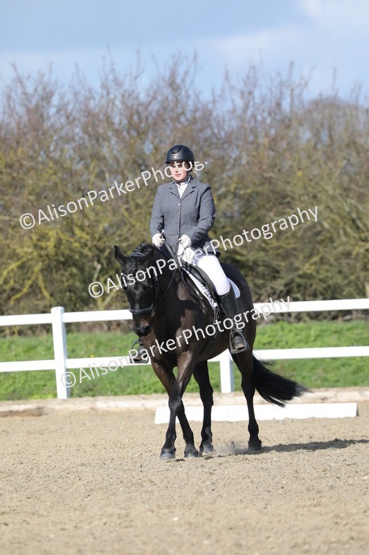 20260314-4842 - CT6 - Elementary 1