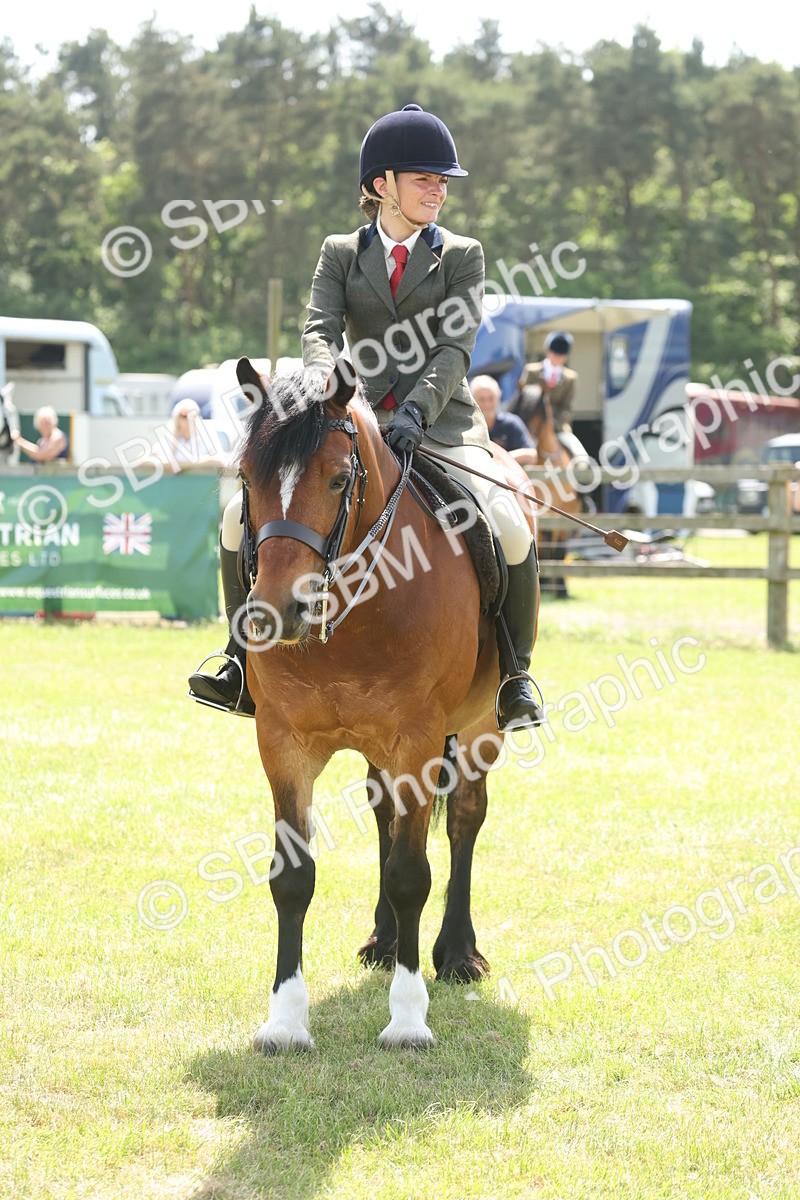 SBM_06987 - Class 26-30 - Mountain and Moorland Ridden