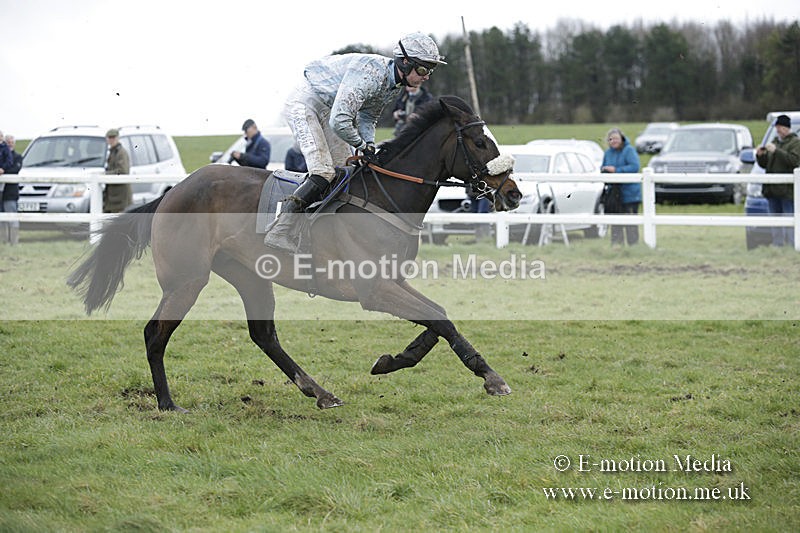 PtP 150320 0499 - New Forest Point-to-Point Larkhill 15/03/20