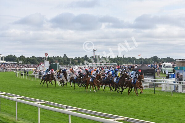 yr18082021r5-44 - Race 5 4.10pm Sky Bet Stakes