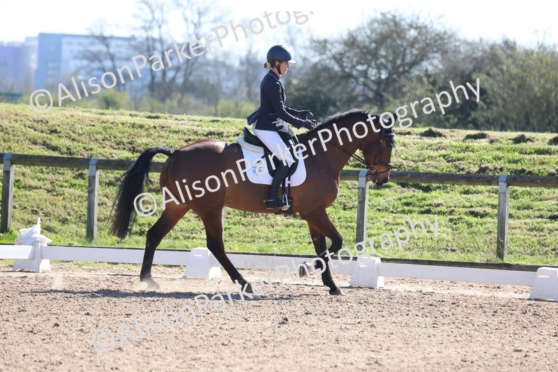 20260318-0443 - Class 5 - Novice 2