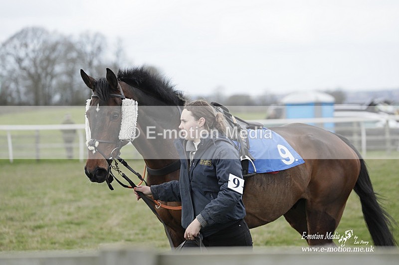 PtP 190323 284 - Oakley Hunt Point-to-Point Brafield-On-The-Green 19/03/23