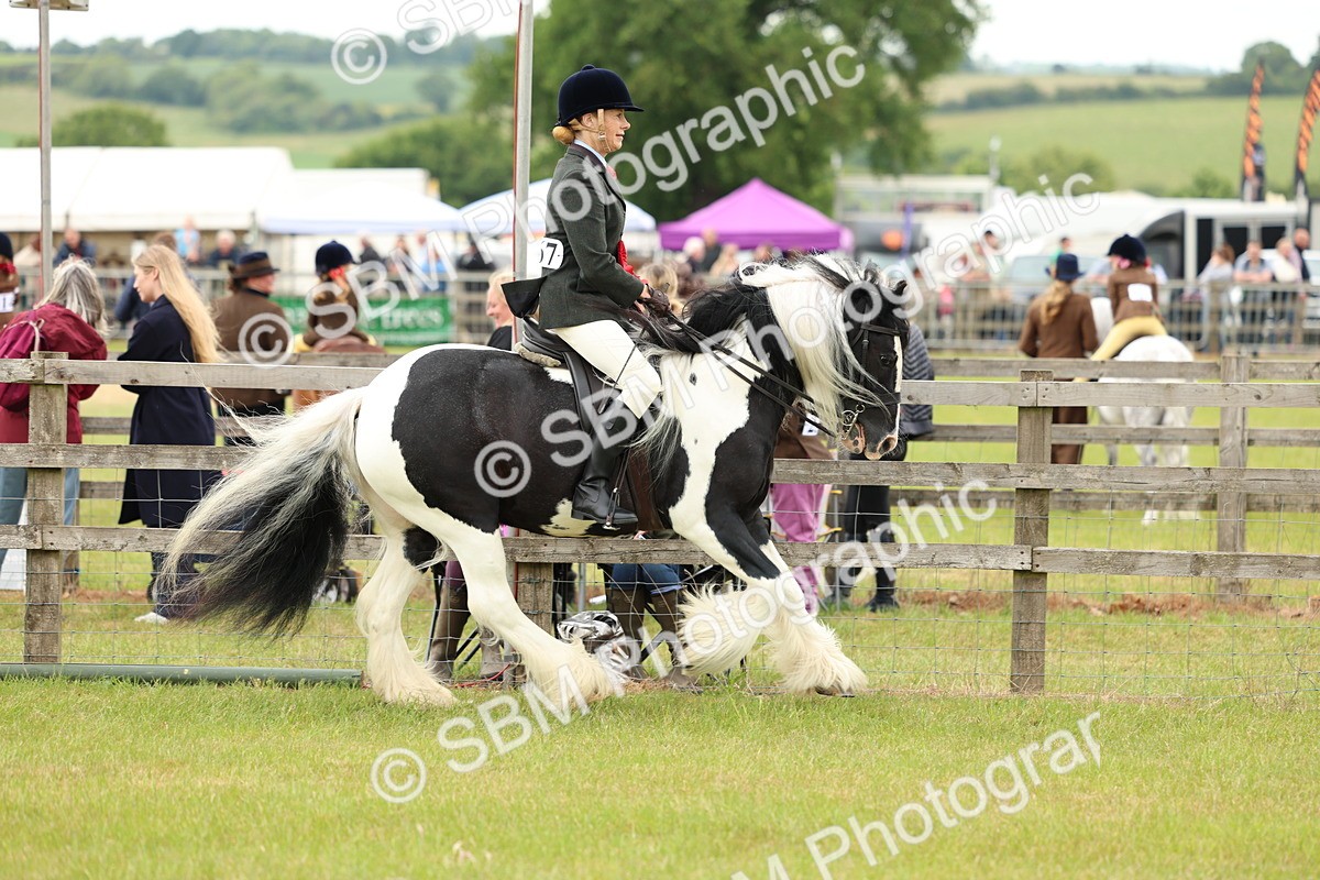 SBM_06265 - Class 39-41 TGCA In Hand and Ridden