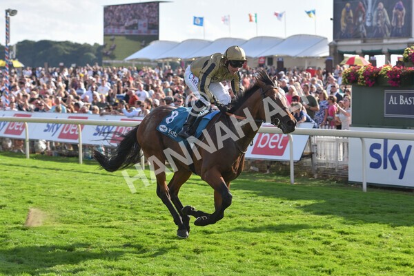 yr20082022r7-35 - Race 7 5.20pm Sky Bet Finale Stakes