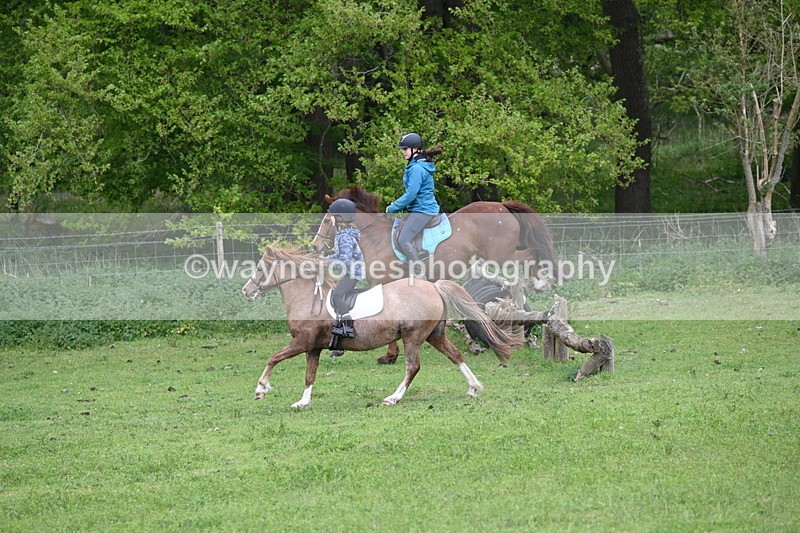 WJ6_2965 - A Camera