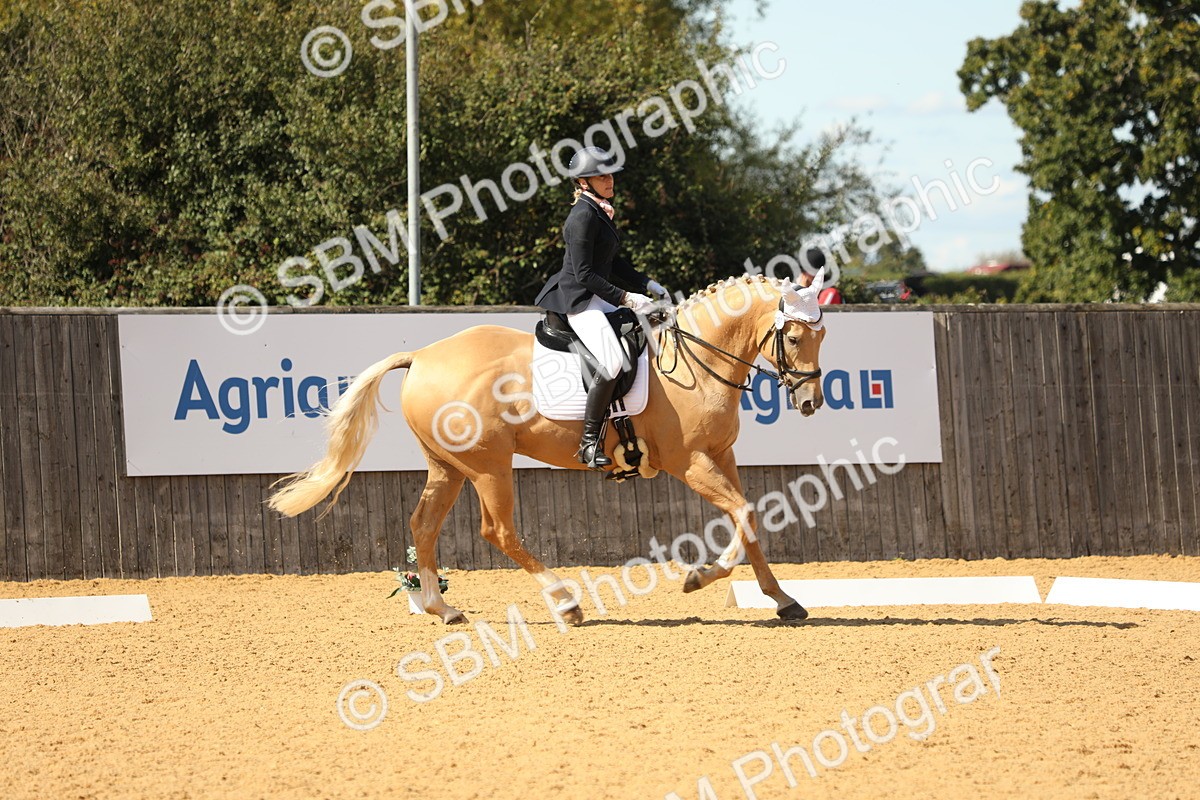 SBM_22310 - D17 - Grand Tour Championship - Novice 27