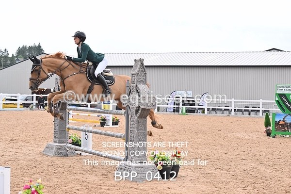 BPP_0412 - CLASS 27 SUN 6 Year Old Non Qualifier